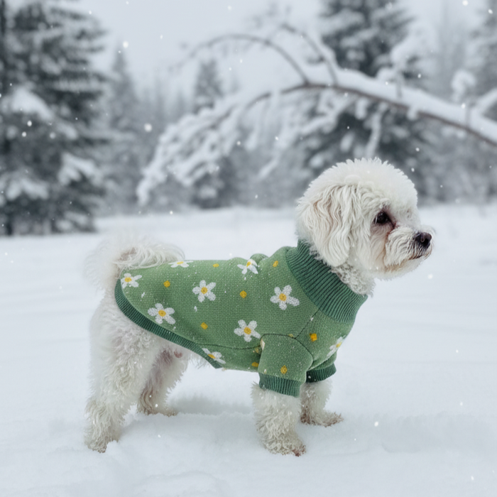 BearHugs Daisy Floral Print Pet Sweater for Dogs