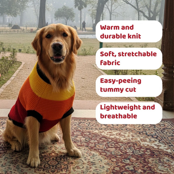 BearHugs Purl Knit Dog Sweater - Multicolour