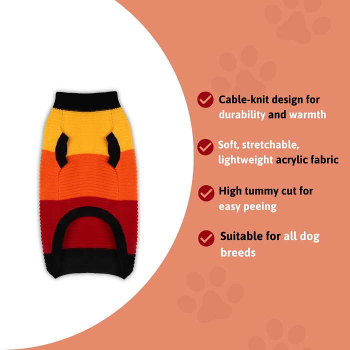 BearHugs Purl Knit Dog Sweater - Multicolour