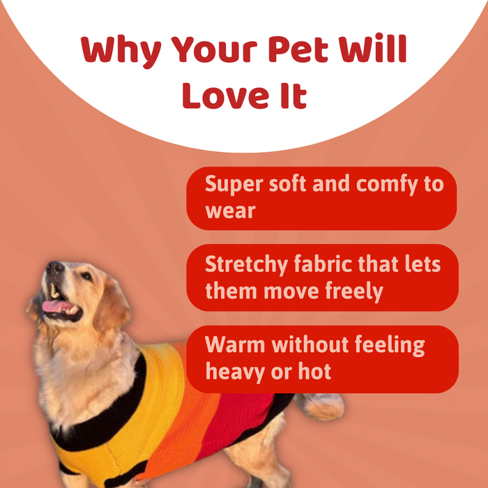 BearHugs Purl Knit Dog Sweater - Multicolour