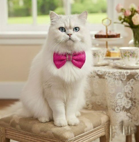 BearHugs Adjustable Festive Pink Bow Tie for Pets