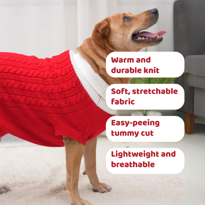 BearHugs Cable Knit Dog Sweater - Red