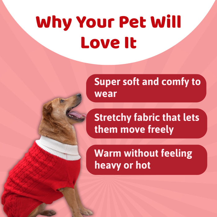 BearHugs Cable Knit Dog Sweater - Red