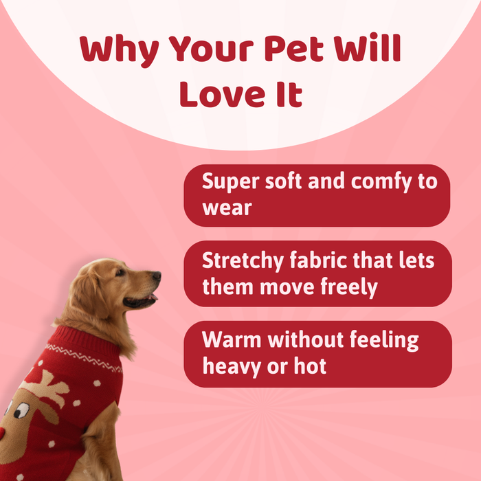 BearHugs Reindeer Print Pet Sweater for Dogs