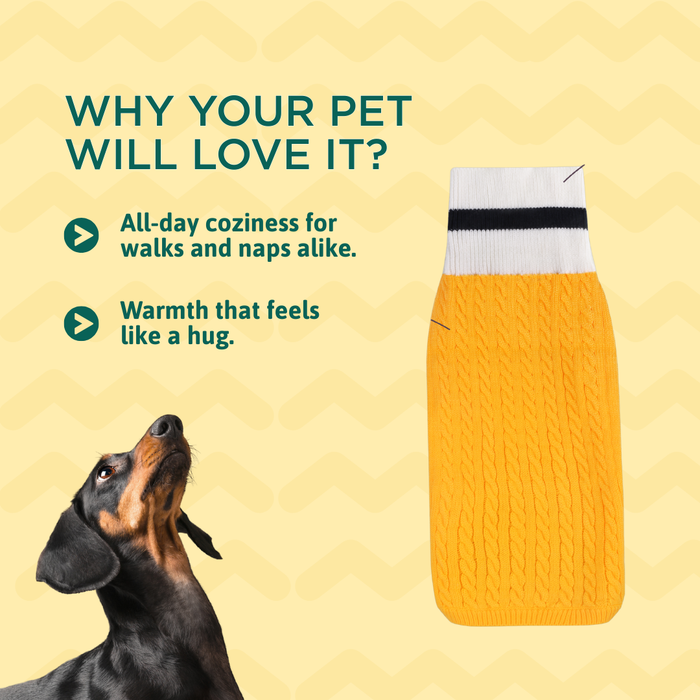 BearHugs Cable Knit Dog Sweater - Yellow