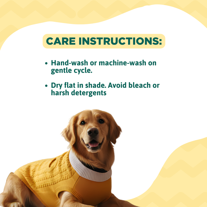 BearHugs Cable Knit Dog Sweater - Yellow