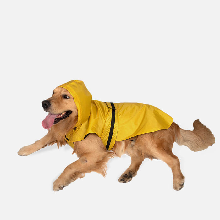 Mutt of Course Raincoat - Yellow