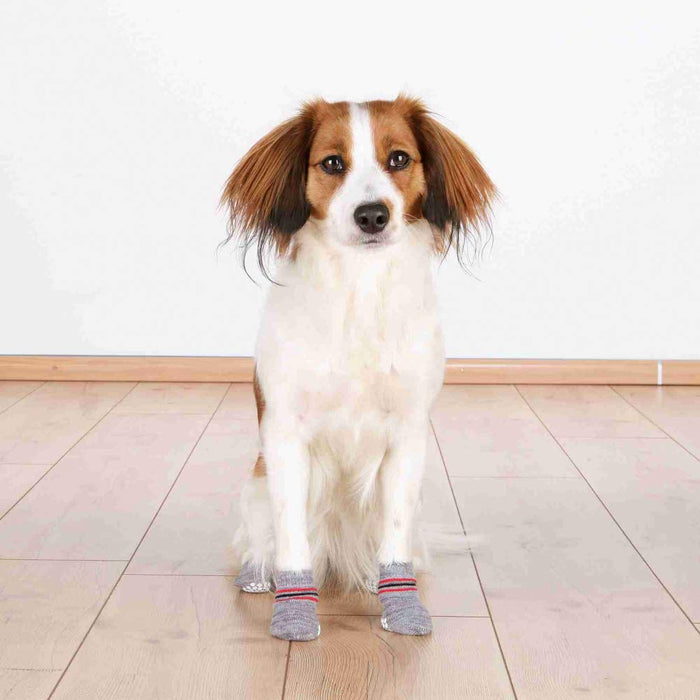 Trixie Non-Slip Dog Lycra Socks - Grey