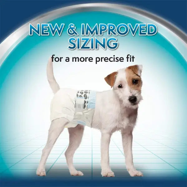 Simple Solution Disposable Diapers for Dogs - Pack of 12 Pads