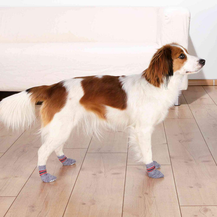 Trixie Non-Slip Dog Lycra Socks - Grey