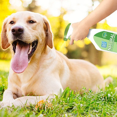 OUT! Natural Flea & Tick Spray - 500 ml