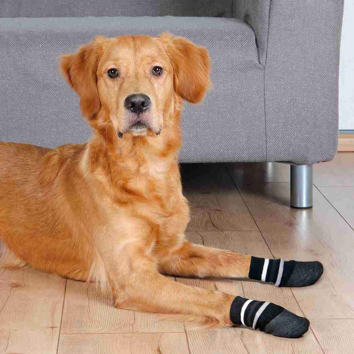Trixie Non-Slip with All-Round Rubber Coating Dog Socks - Black