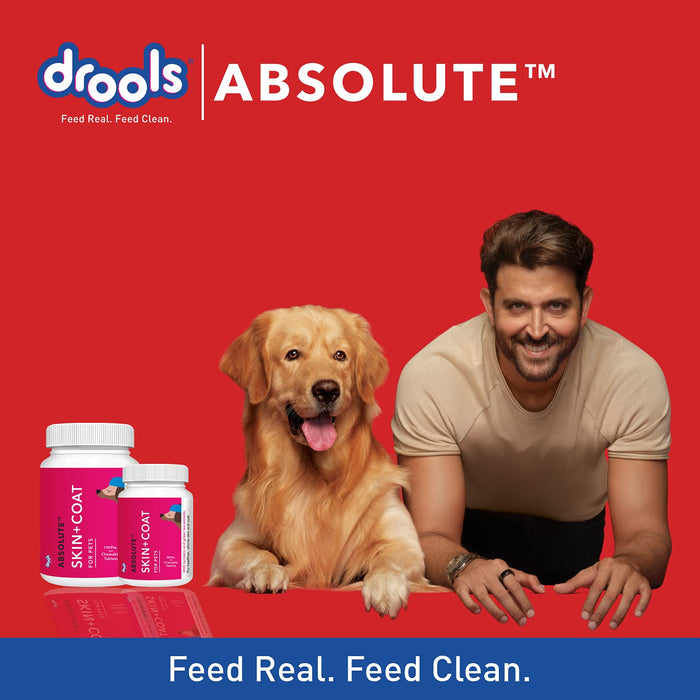 Drools Absolute Skin & Coat Dog Tablet