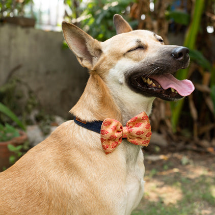 Mutt of Course Diwali Pink Festive Dog Bow (Without Strap)