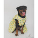 The Papaw Cartel Lime Yellow Happy Cactus Dog Dress