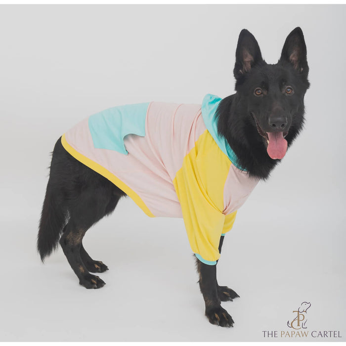 The Papaw Cartel Candy Floss Color Blocking Hoodie Dog T-shirt - Multicolor