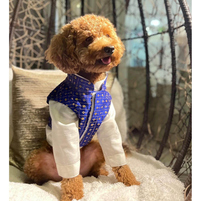 The Papaw Cartel Customization Embroiderd Koti and Peach kurta For Dogs
