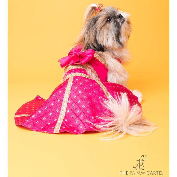 The Papaw Cartel Customization Crossbody Choli with Hot Pink Embroidered Lehenga For Dogs