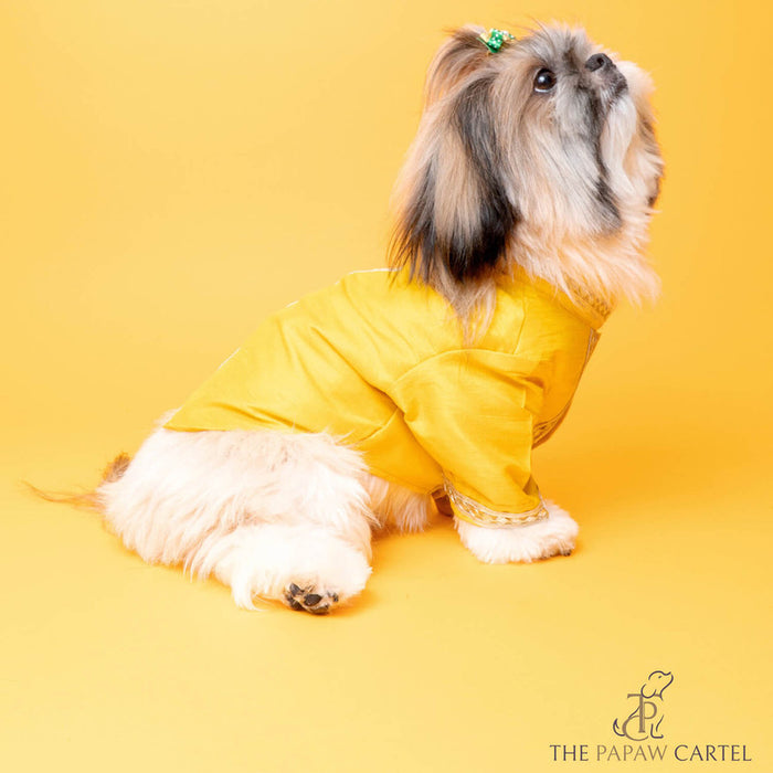 The Papaw Cartel Customization Silk Yellow Gotapati Kurta For Dogs