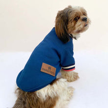 Pawgy Pets Candy Blue SweatShirts for Dog