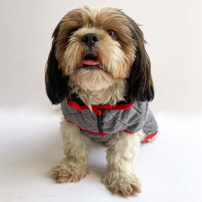 Pawgy Pets Reversible Quilted Jacket for Dog - Grey & Black