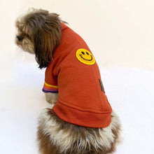 Pawgy Pets Smiley Rust SweatShirts for Dog