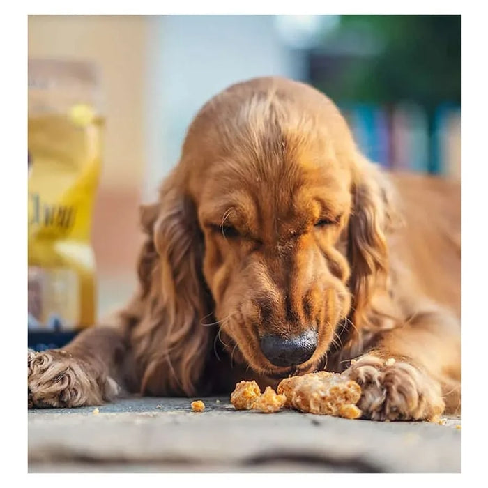 Dogsee Puffy Bars Soft Dental Treats For Senior Dogs - 70gm