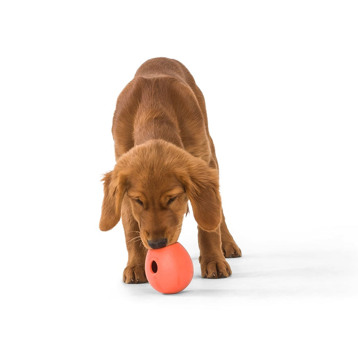 Westpaw Rumbl Melon Dog Chew Toy - Small